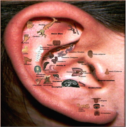 auriculterapia en bogota